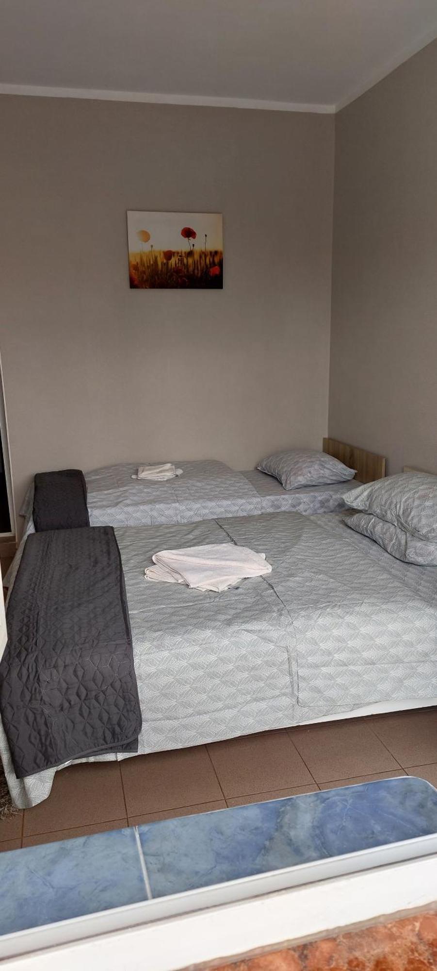 Guest house Alexandru