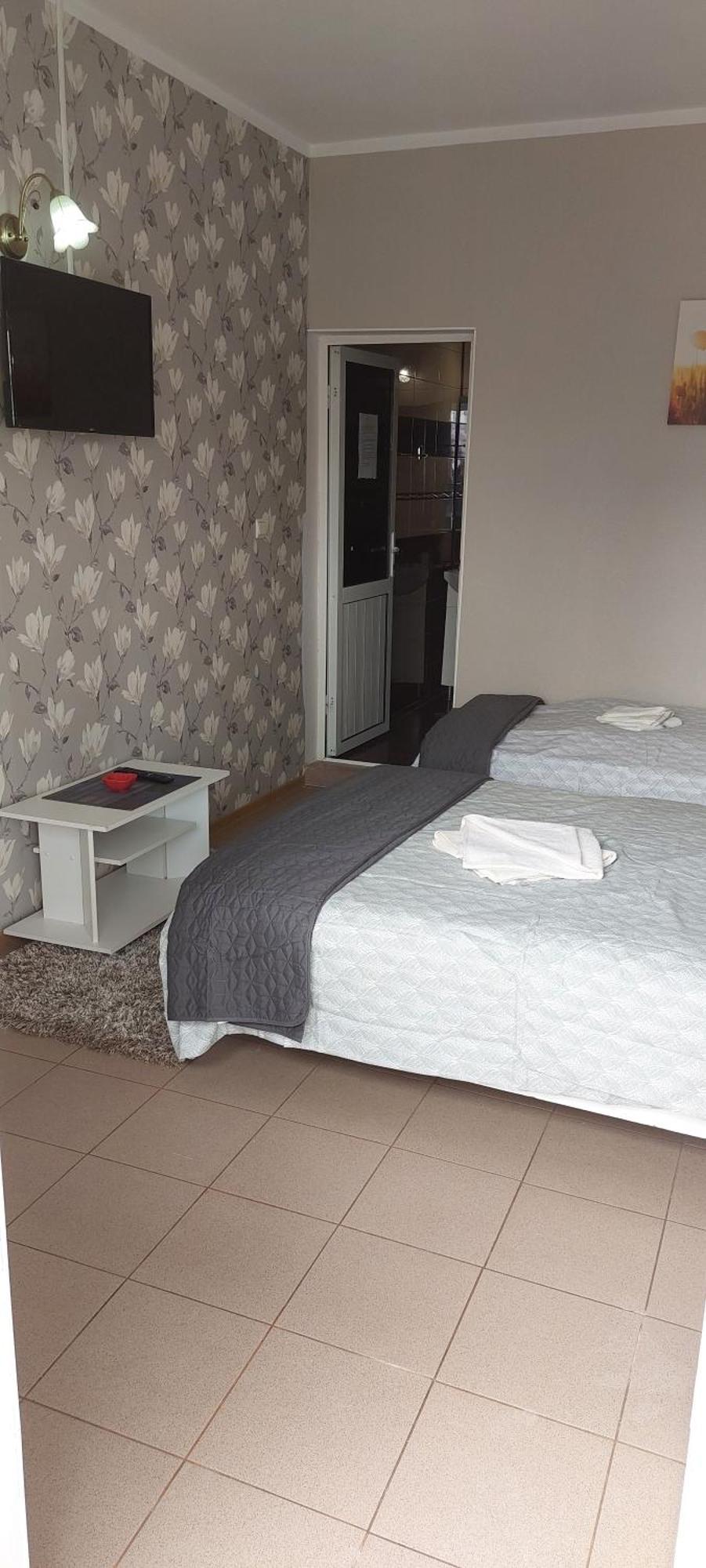 Alexandru Guest house *
