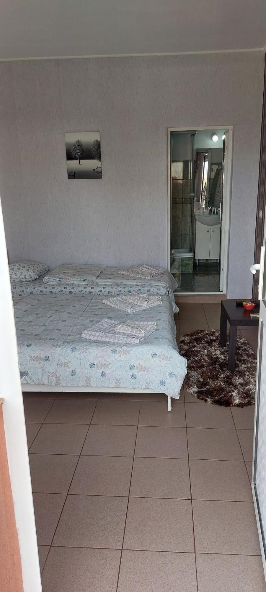 Alexandru Guest house *