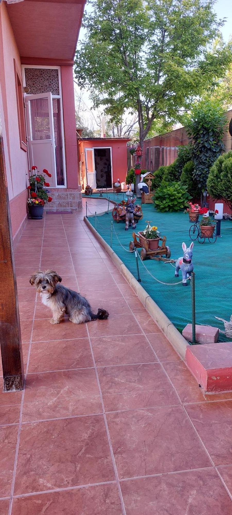 Alexandru Guest house Eforie Nord