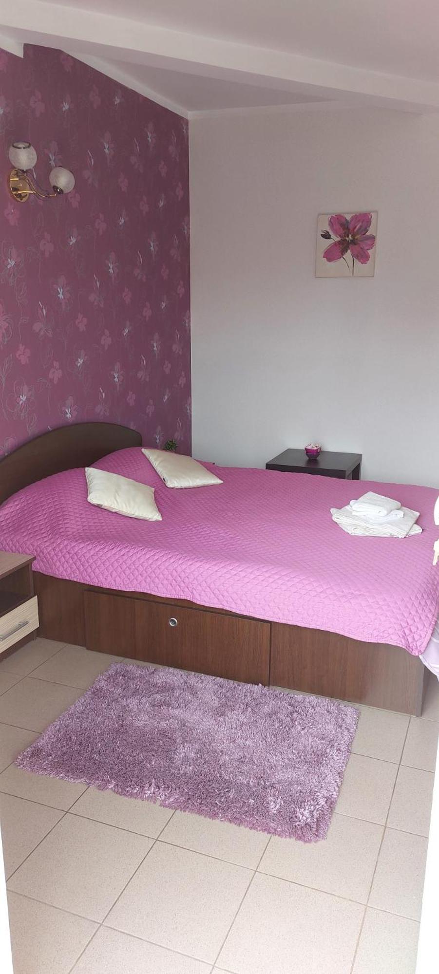 Guest house Alexandru